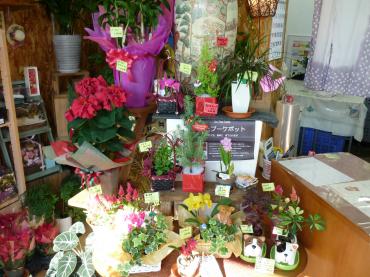 クリスマスに模様替え｜「花ひこ」　（愛知県豊橋市の花キューピット加盟店 花屋）のブログ
