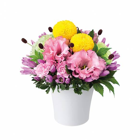 愛知県豊橋市の花屋 花ひこにフラワーギフトはお任せください 当店は 安心と信頼の花キューピット加盟店です 花キューピットタウン
