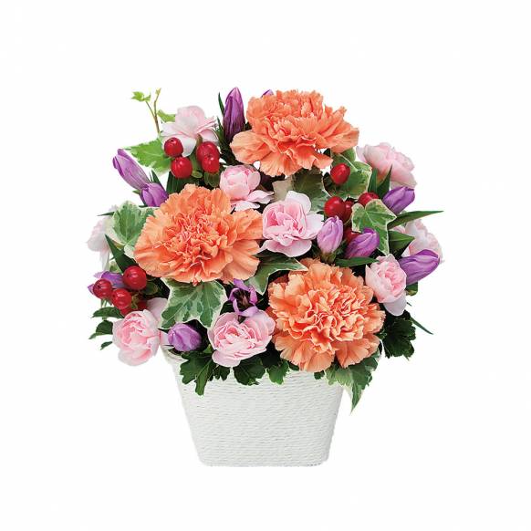 愛知県豊橋市の花屋 花ひこにフラワーギフトはお任せください 当店は 安心と信頼の花キューピット加盟店です 花キューピットタウン