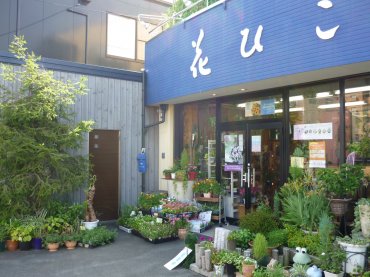 「花ひこ」　（愛知県豊橋市）の花屋店舗写真1